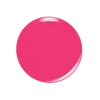 BACK TO THE FUCHSIA