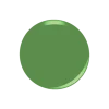 DYNASTEA