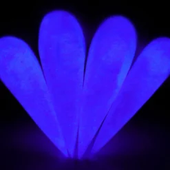 ELECTRIC DAISY