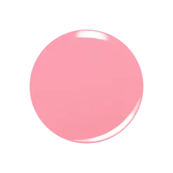 Let's Flamingle