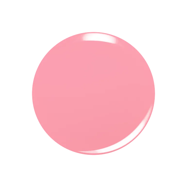Let's Flamingle