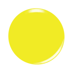 NEW YOLK CITY