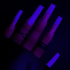 Nova