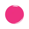 PINK PASSPORT