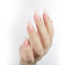 Tinted Rubber Top Coat Collection